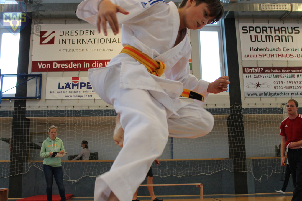 images/Bezirksoffene Judo-Safari 2018 der SG Weixdorf-149.jpg